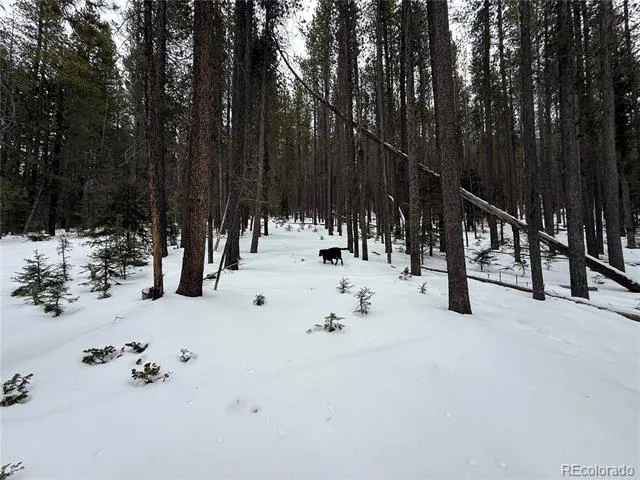 Lot 2805 Moir Drive Fort Garland, CO 81133