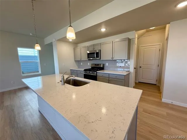 798 Bently Street Watkins, CO 80137