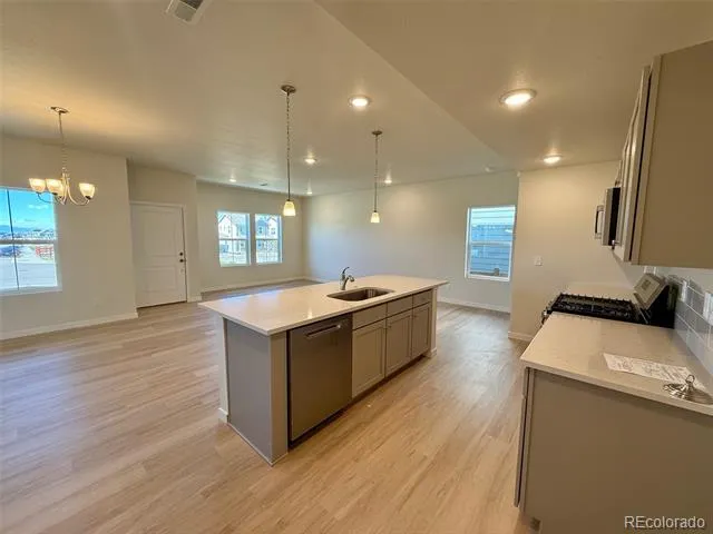 798 Bently Street Watkins, CO 80137