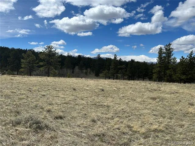 97 Chap Way Hartsel, CO 80449