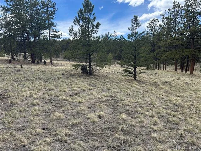 97 Chap Way Hartsel, CO 80449