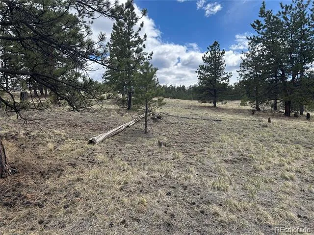 97 Chap Way Hartsel, CO 80449