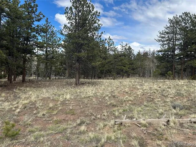 97 Chap Way Hartsel, CO 80449