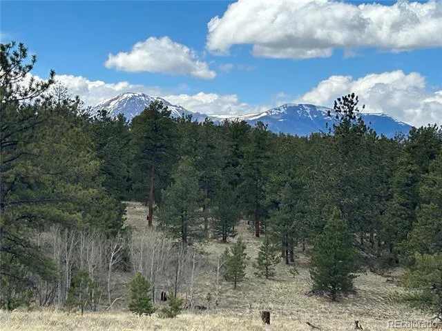 97 Chap Way Hartsel, CO 80449