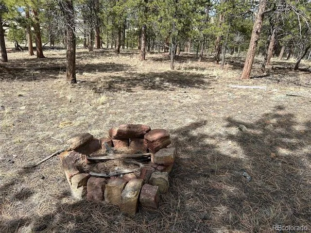 97 Chap Way Hartsel, CO 80449