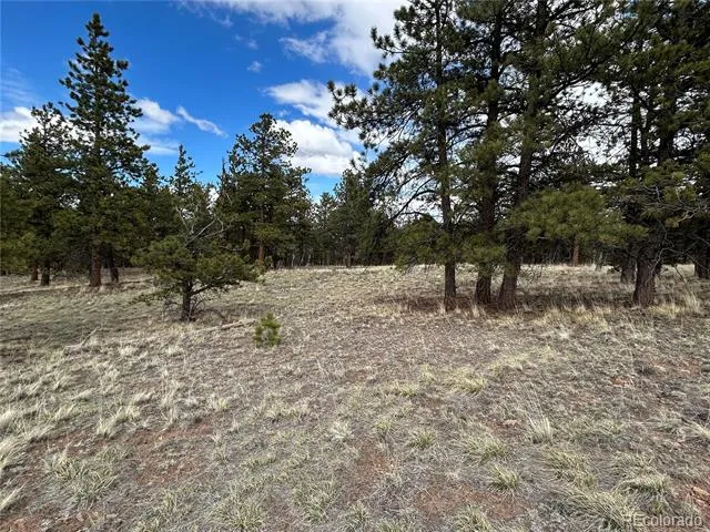 97 Chap Way Hartsel, CO 80449
