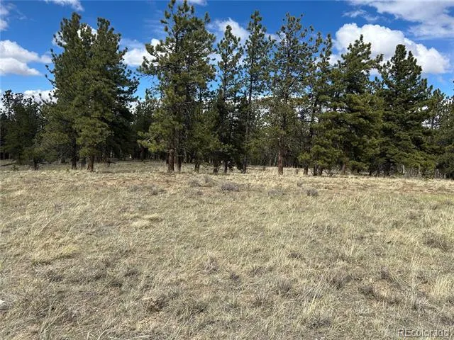 97 Chap Way Hartsel, CO 80449