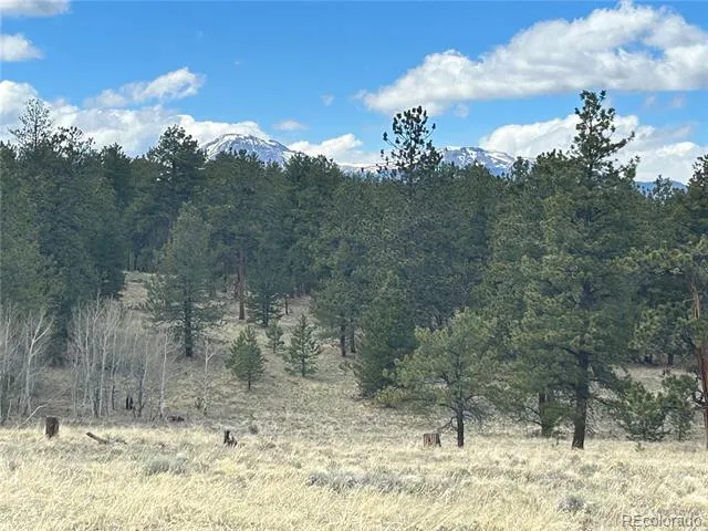 97 Chap Way Hartsel, CO 80449