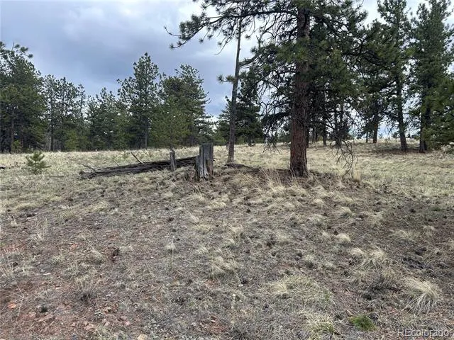 97 Chap Way Hartsel, CO 80449