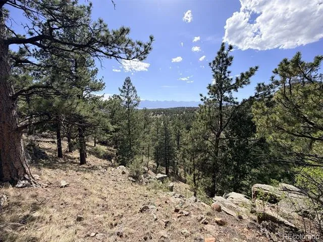 000 Schulze Ranch Rd Westcliffe, CO 81252