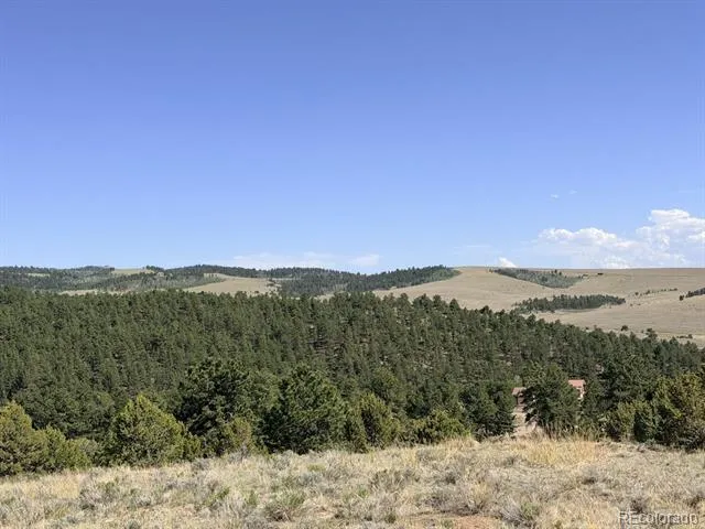 000 Schulze Ranch Rd Westcliffe, CO 81252