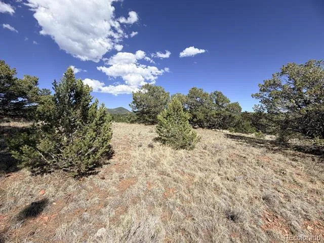 000 Schulze Ranch Rd Westcliffe, CO 81252