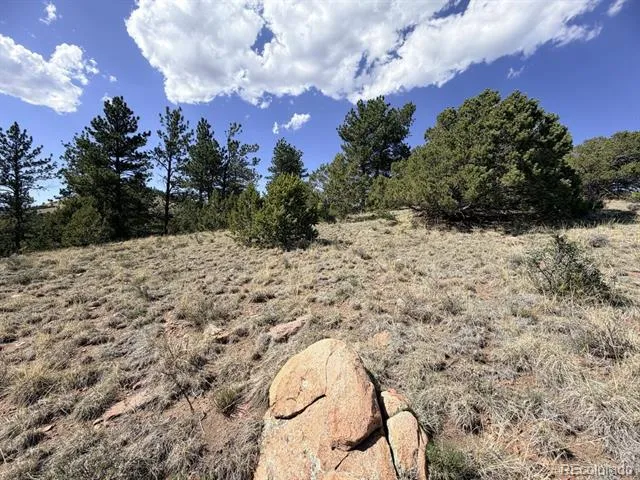 000 Schulze Ranch Rd Westcliffe, CO 81252