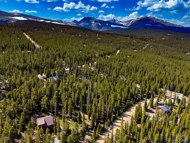 440 Gold Trail Circle Fairplay, CO 80440