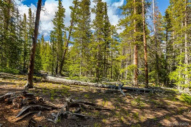 440 Gold Trail Circle Fairplay, CO 80440