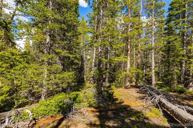 440 Gold Trail Circle Fairplay, CO 80440