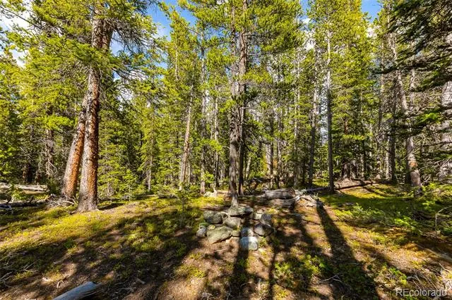 440 Gold Trail Circle Fairplay, CO 80440