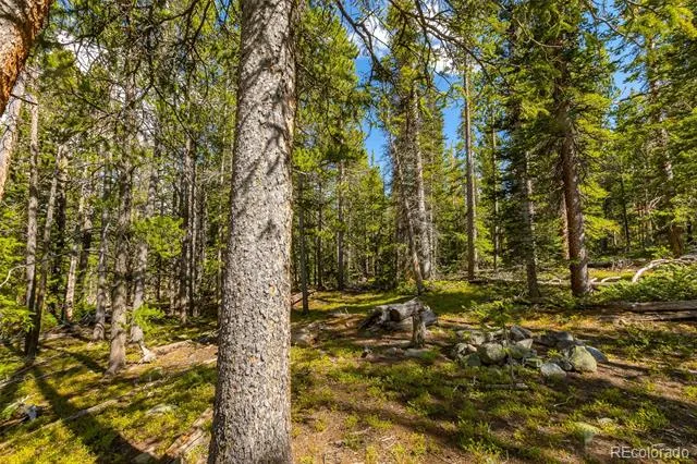 440 Gold Trail Circle Fairplay, CO 80440