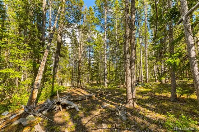 440 Gold Trail Circle Fairplay, CO 80440