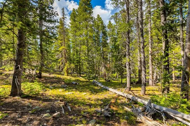 440 Gold Trail Circle Fairplay, CO 80440