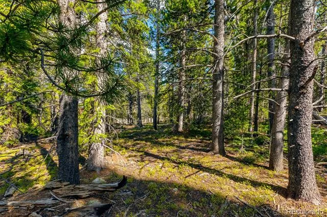 440 Gold Trail Circle Fairplay, CO 80440