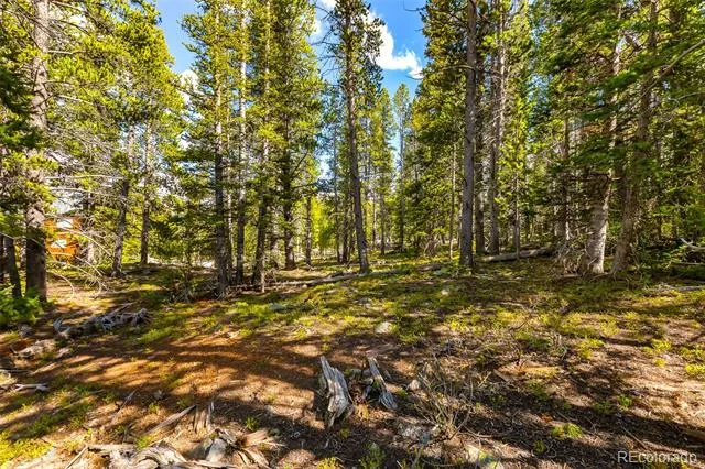 440 Gold Trail Circle Fairplay, CO 80440
