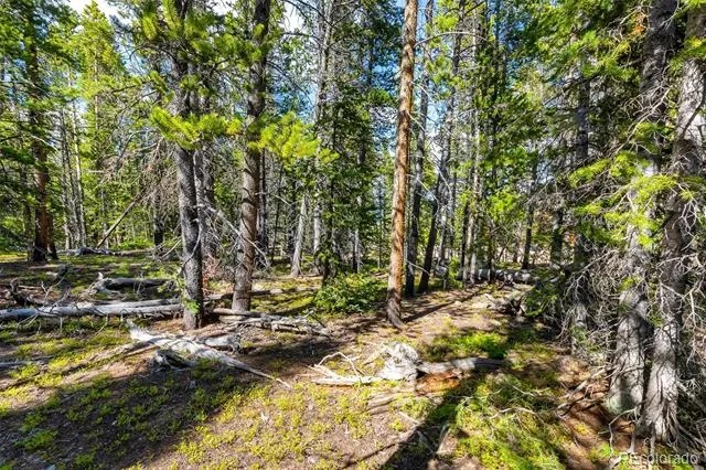 440 Gold Trail Circle Fairplay, CO 80440