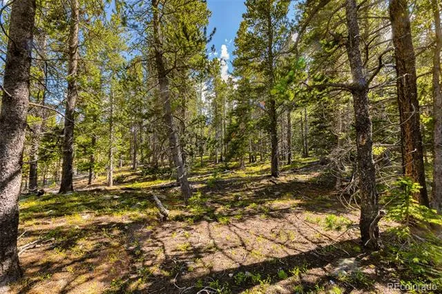 440 Gold Trail Circle Fairplay, CO 80440