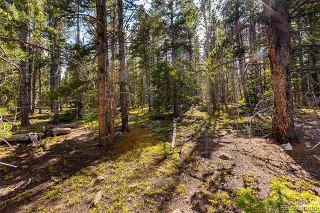 440 Gold Trail Circle Fairplay, CO 80440