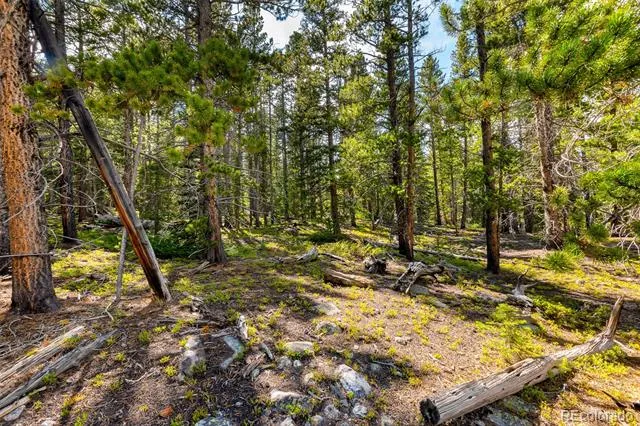 440 Gold Trail Circle Fairplay, CO 80440