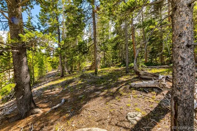 440 Gold Trail Circle Fairplay, CO 80440