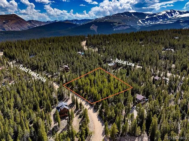 440 Gold Trail Circle Fairplay, CO 80440