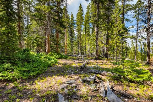 440 Gold Trail Circle Fairplay, CO 80440