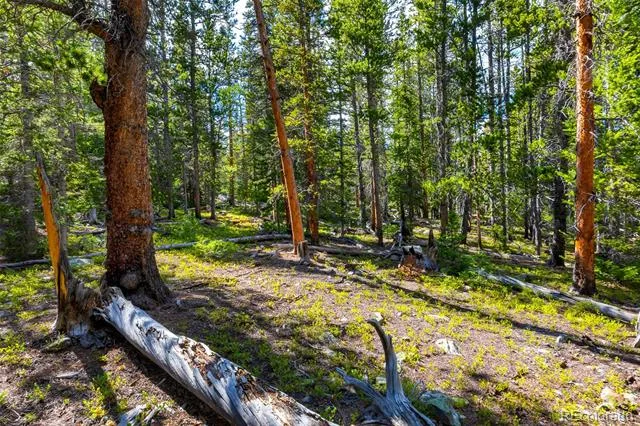 440 Gold Trail Circle Fairplay, CO 80440