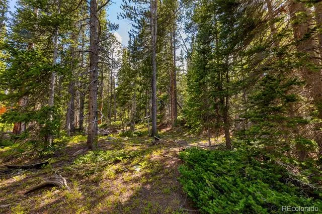 440 Gold Trail Circle Fairplay, CO 80440