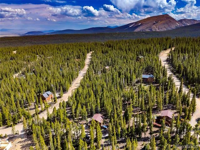 440 Gold Trail Circle Fairplay, CO 80440