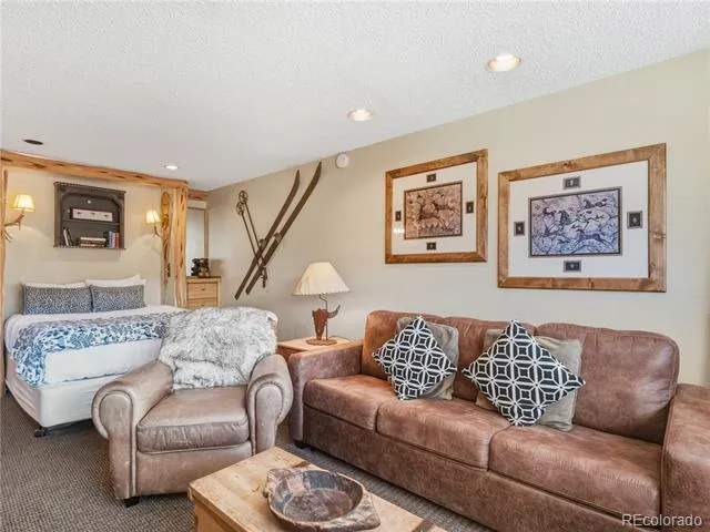 535 S Park Avenue #214 Breckenridge, CO 80424