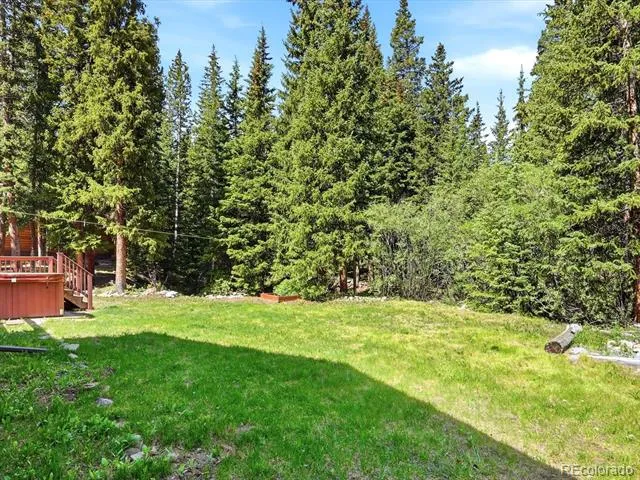 507 County Road 674 Blue River, CO 80424