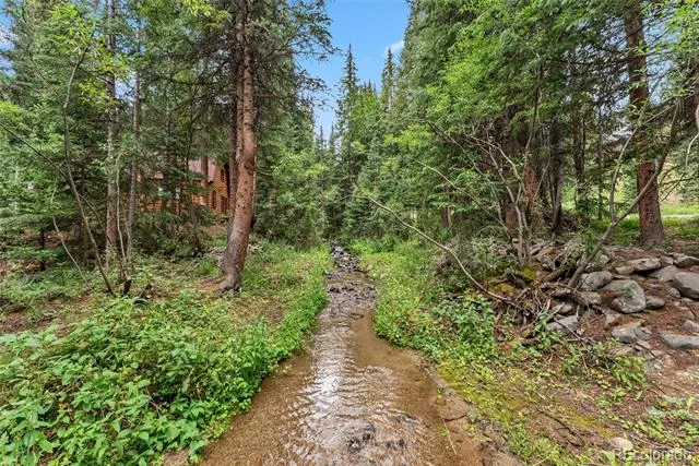 507 County Road 674 Blue River, CO 80424