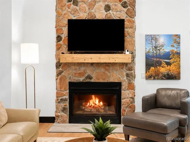 507 County Road 674 Blue River, CO 80424