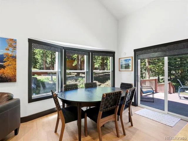 507 County Road 674 Blue River, CO 80424