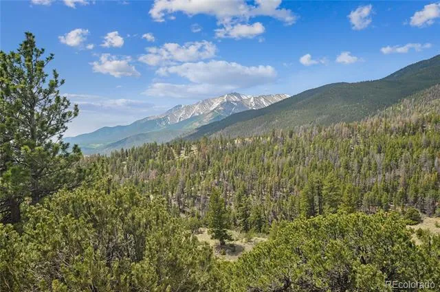 30043 Creek Run Buena Vista, CO 81211