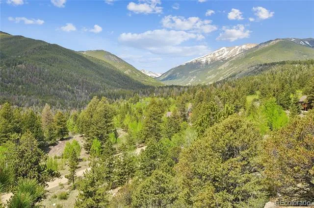 30043 Creek Run Buena Vista, CO 81211