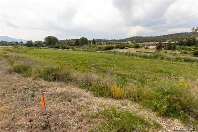 24263 River Rock Lane Buena Vista, CO 81211