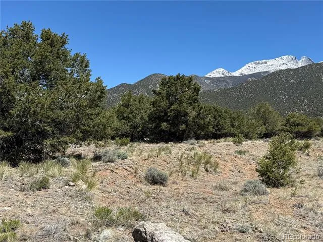 3231 Camino Del Rey Crestone, CO 81131