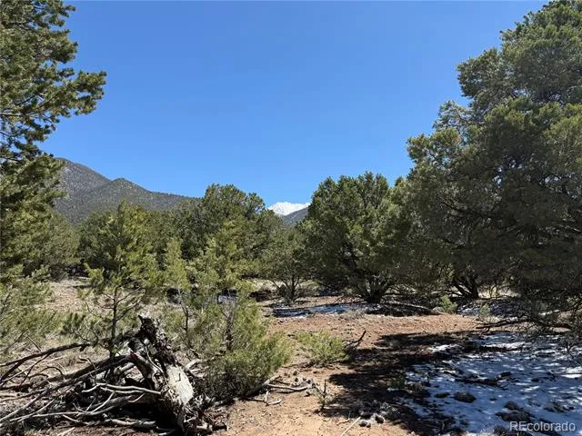 3231 Camino Del Rey Crestone, CO 81131