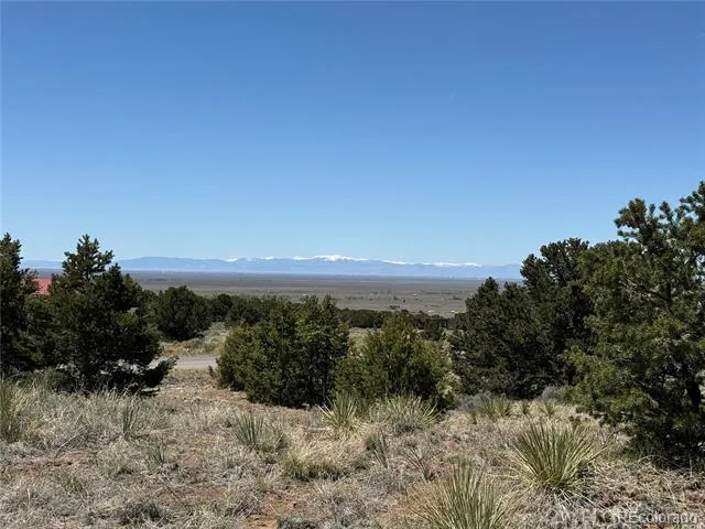 3231 Camino Del Rey Crestone, CO 81131