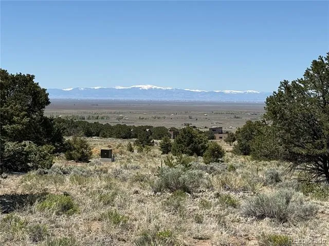 3231 Camino Del Rey Crestone, CO 81131