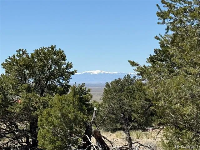 3231 Camino Del Rey Crestone, CO 81131