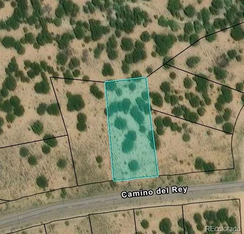 3231 Camino Del Rey Crestone, CO 81131